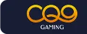 Game providers